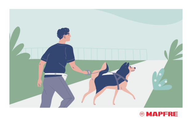 Consejos Para El Paseo De Tus Mascotas Blog De Seguros Mapfre 8275