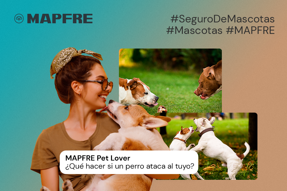 Seguro De Mascotas Blog De Seguros Mapfre 7406